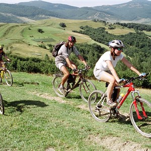 Martin Mitáš